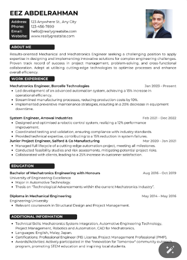 Professional CV Sample 24